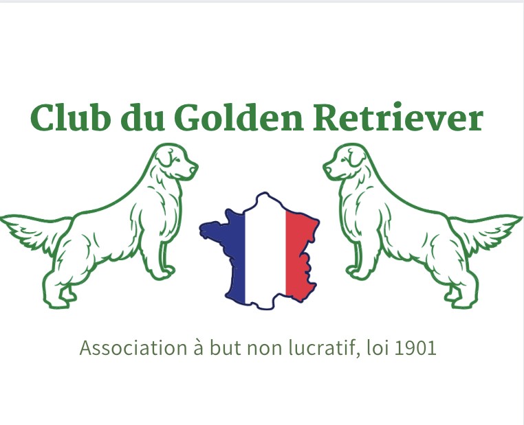 Club du Golden Retriever